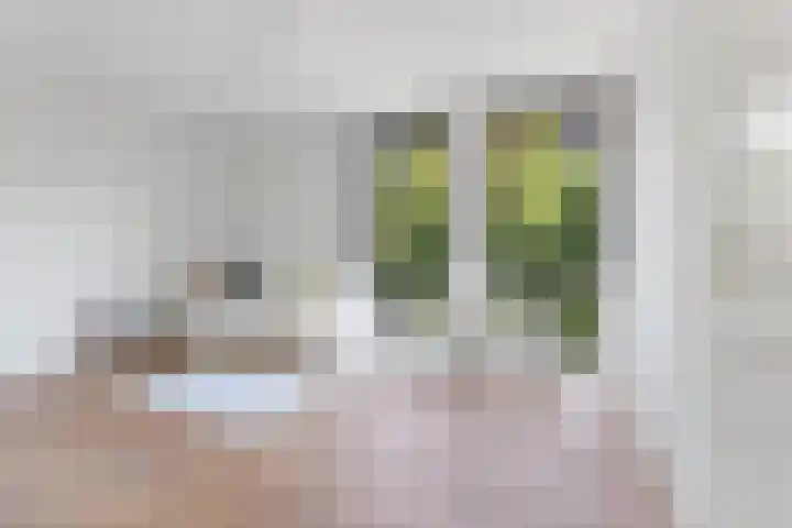 Bijlmerdreef 924 Amsterdam thumbnail 15