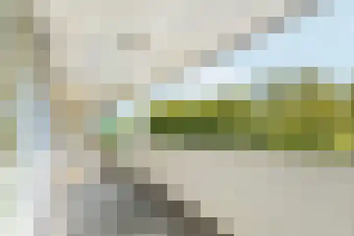 Bijlmerdreef 924 Amsterdam thumbnail 5