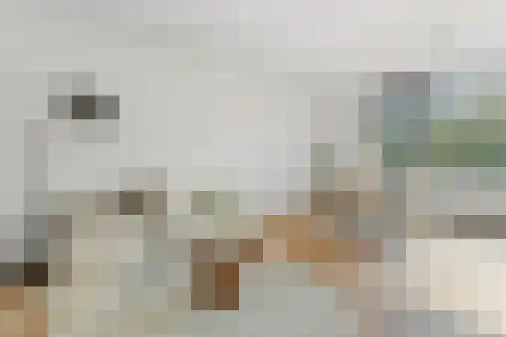 Bijlmerdreef 924 Amsterdam thumbnail 7