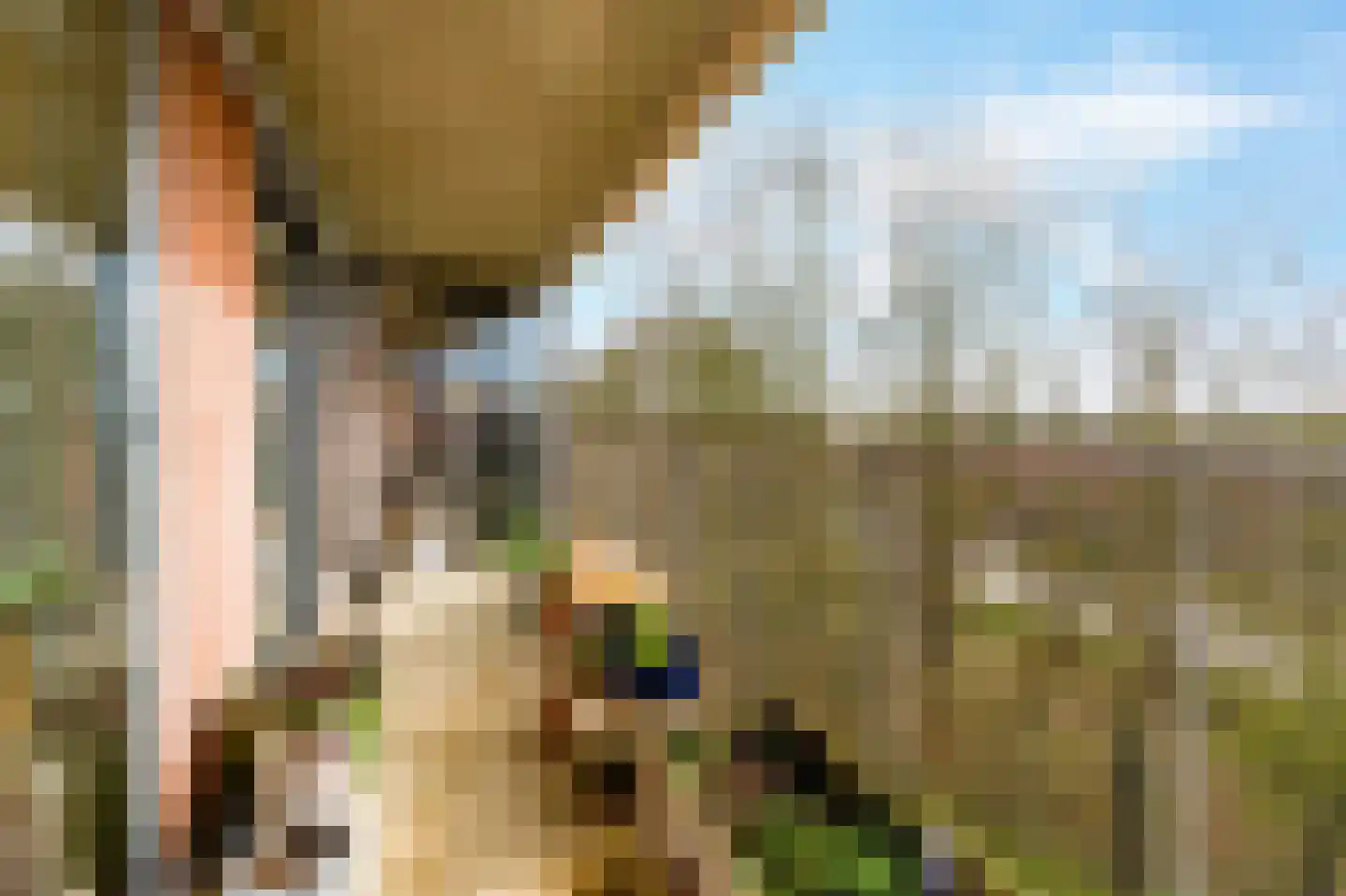 Bijlmerdreef 967 Amsterdam thumbnail 14