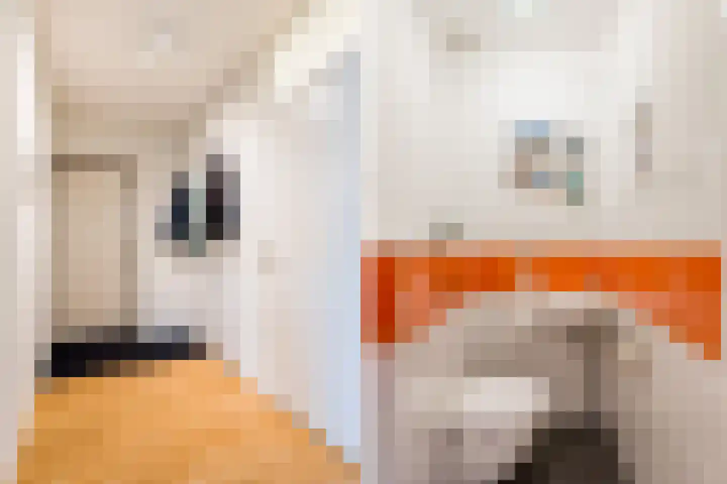 Bijlmerdreef 967 Amsterdam thumbnail 30