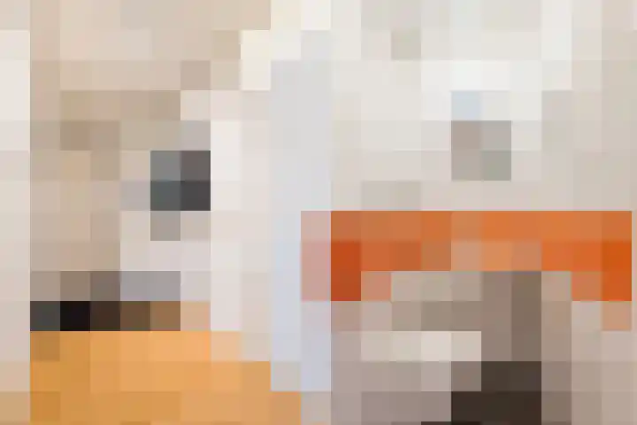 Bijlmerdreef 967 Amsterdam thumbnail 36