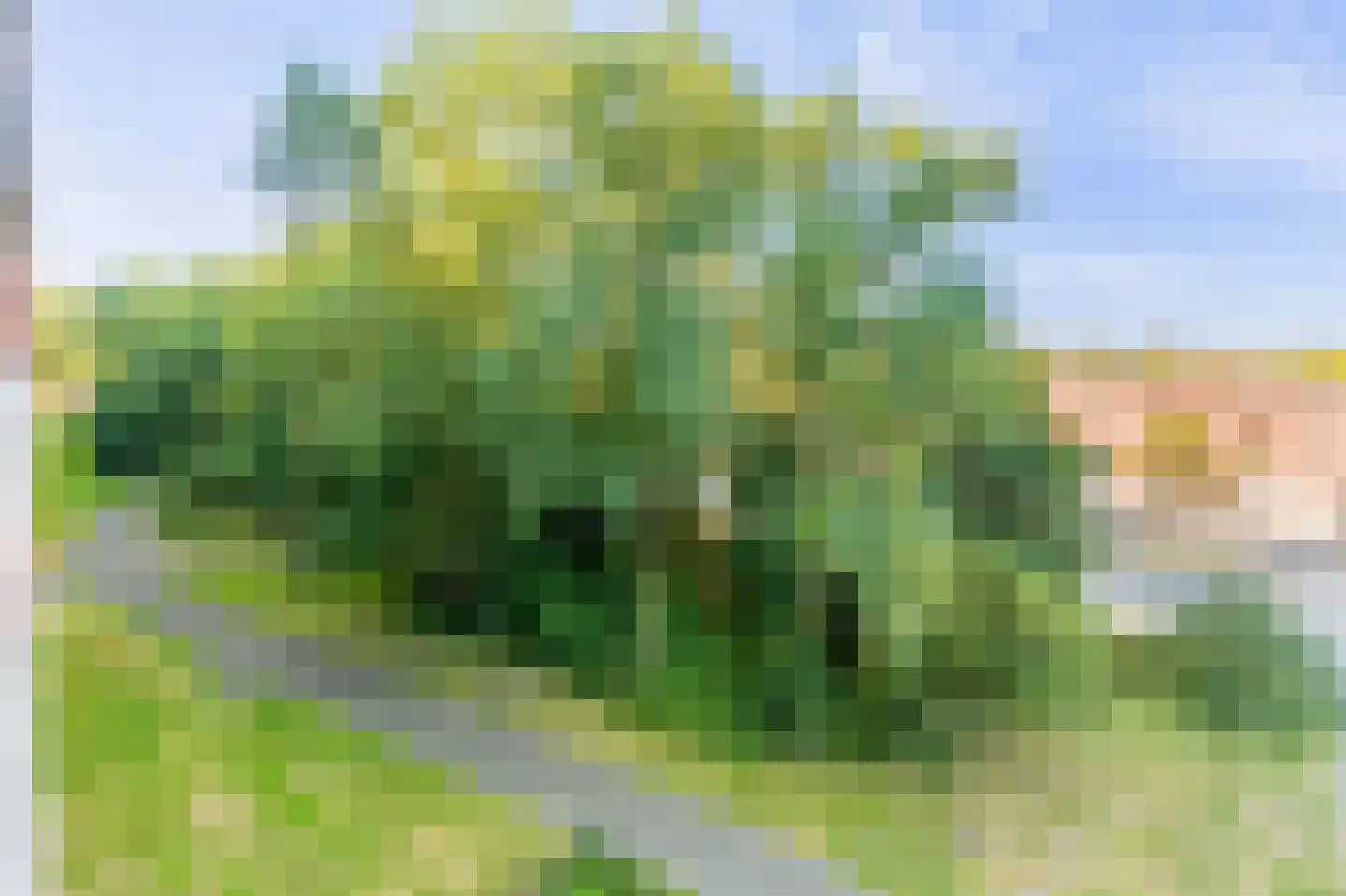 Bijlmerdreef 967 Amsterdam thumbnail 37