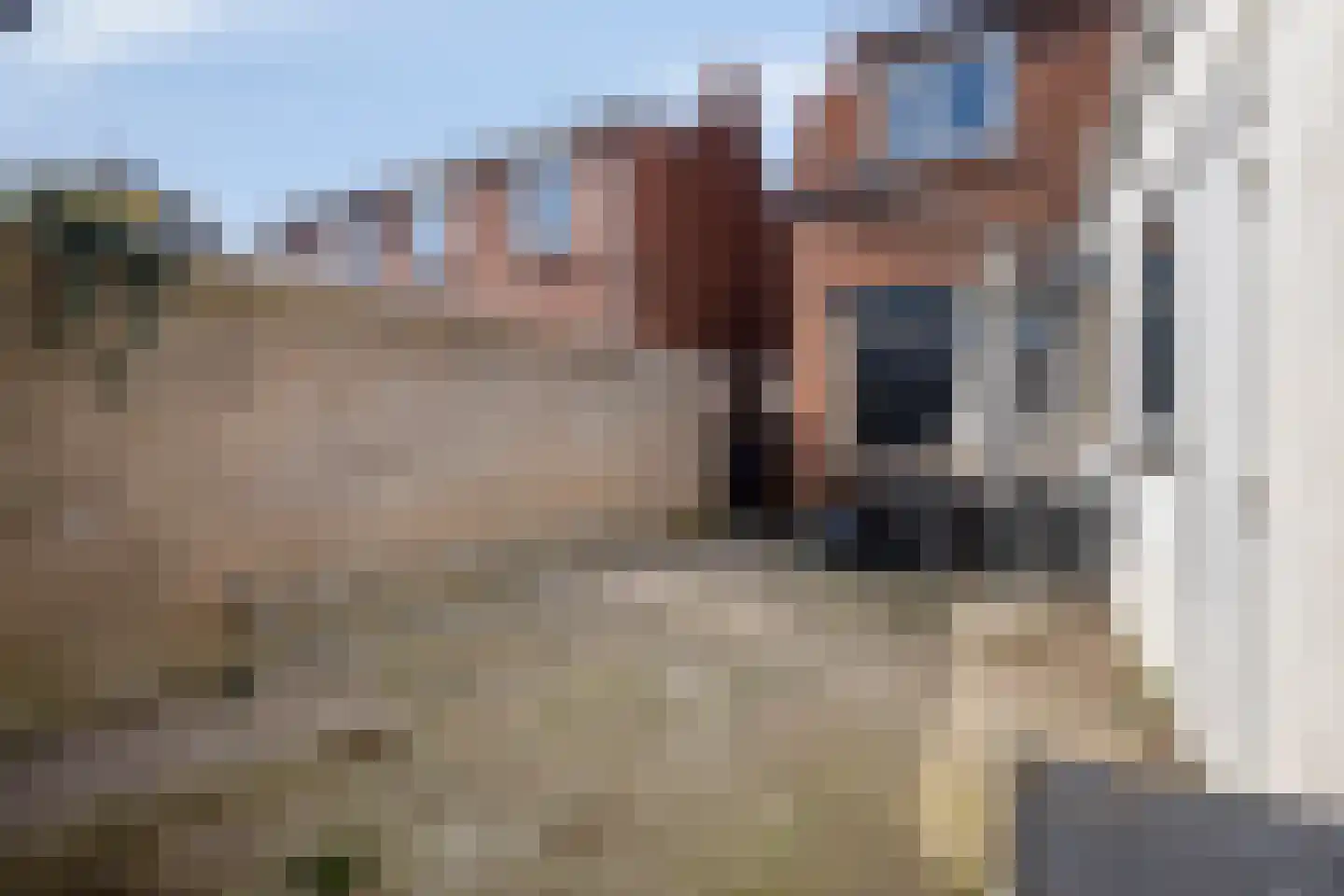Bijlokeplein 22 Axel thumbnail 29