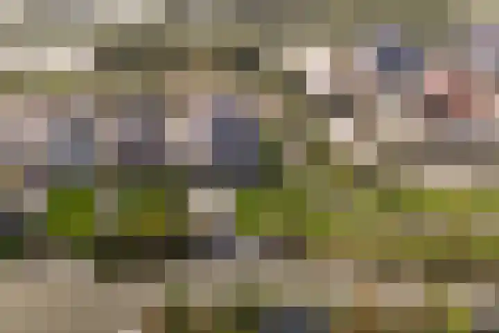 Bijloort 28 Broek op Langedijk thumbnail 4