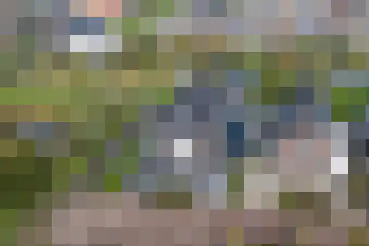 Bijloort 28 Broek op Langedijk thumbnail 5