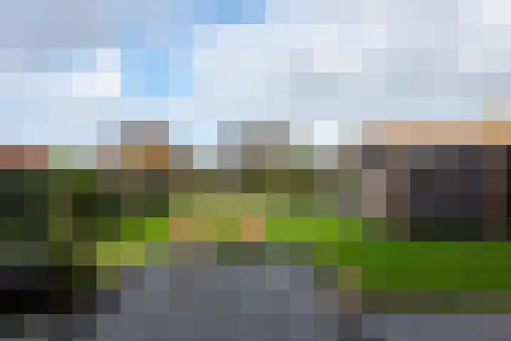 Bijloort 28 Broek op Langedijk thumbnail 52