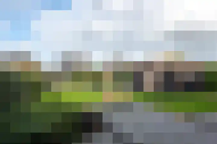 Bijloort 28 Broek op Langedijk thumbnail 53
