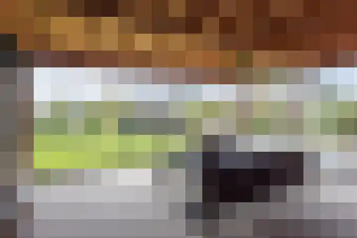 Bijloort 28 Broek op Langedijk thumbnail 56