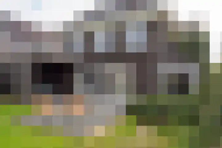 Bijloort 28 Broek op Langedijk thumbnail 59