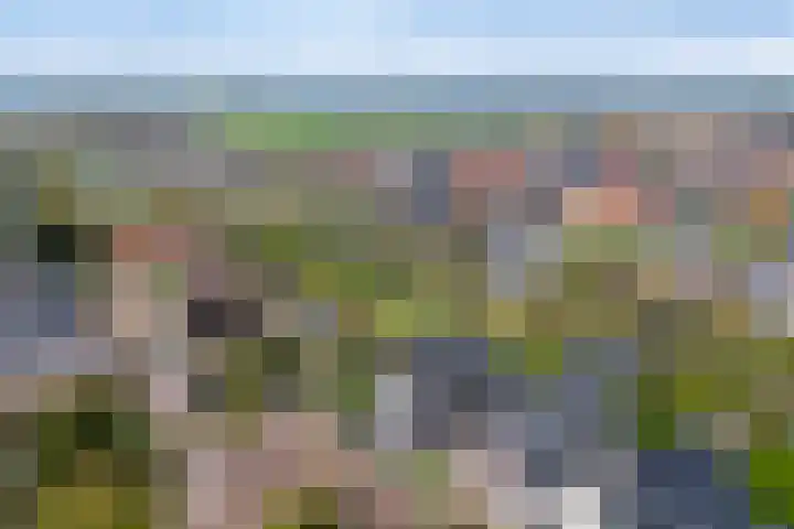 Bijloort 28 Broek op Langedijk thumbnail 61