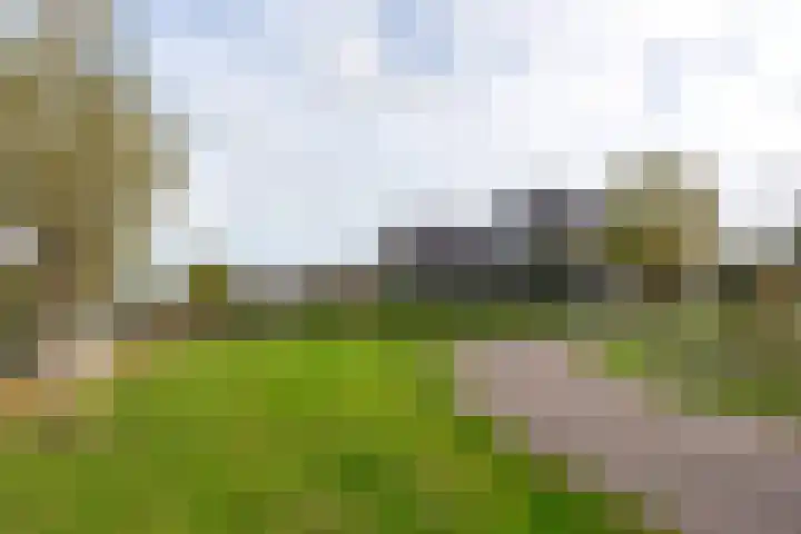 Bijloort 28 Broek op Langedijk thumbnail 62