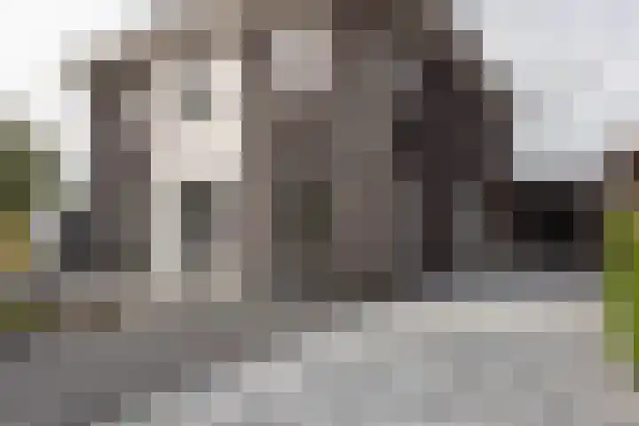 Bijloort 28 Broek op Langedijk thumbnail 65