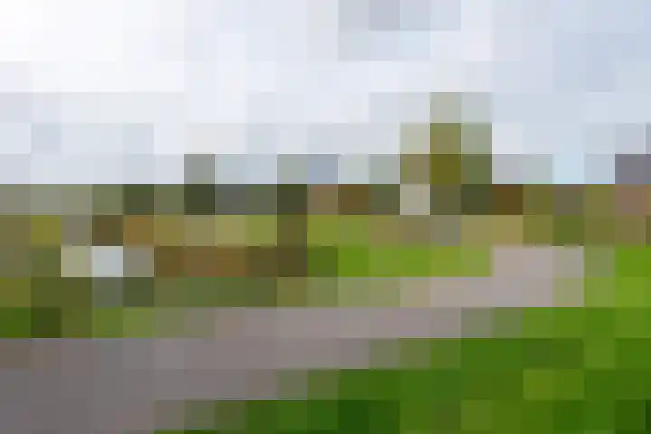 Bijloort 28 Broek op Langedijk thumbnail 68