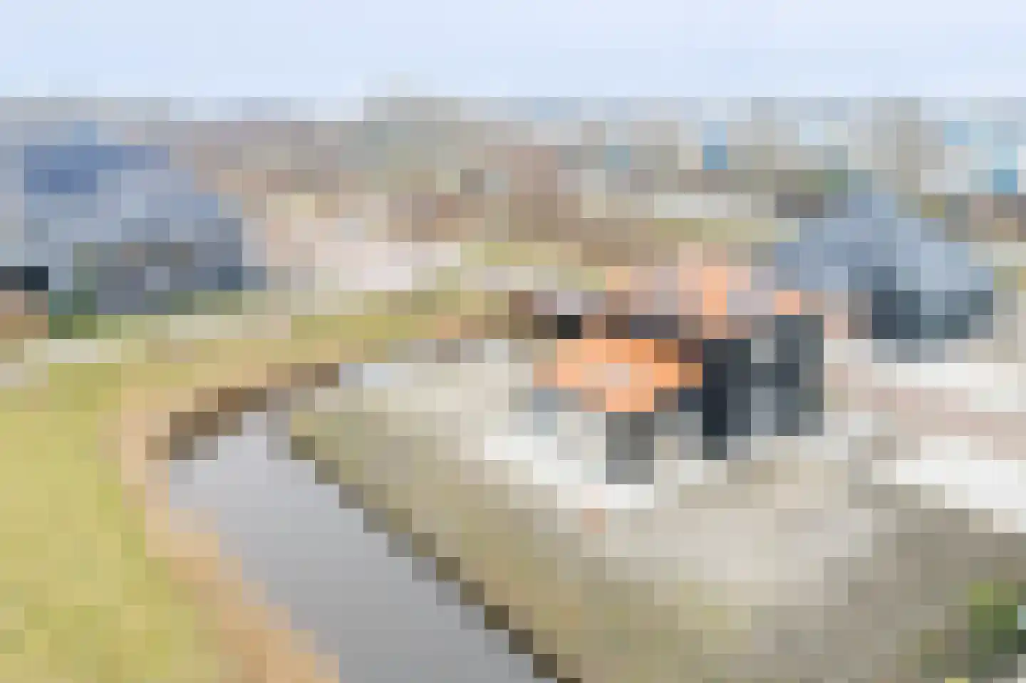 Bijloort 30 Broek op Langedijk foto 3