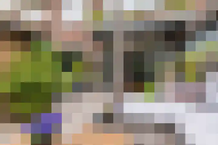 Bijlstraat 18 Zaandam thumbnail 32