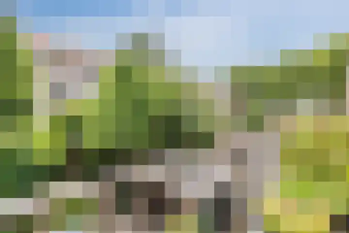 Bijlstraat 18 Zaandam thumbnail 33