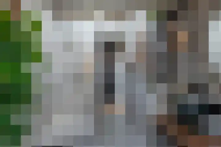 Bijlstraat 21 Bussum thumbnail 28