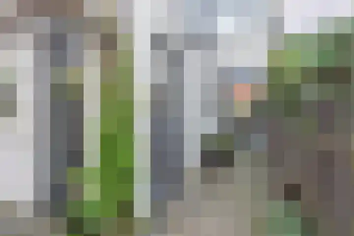 Bijlstraat 21 Bussum thumbnail 32