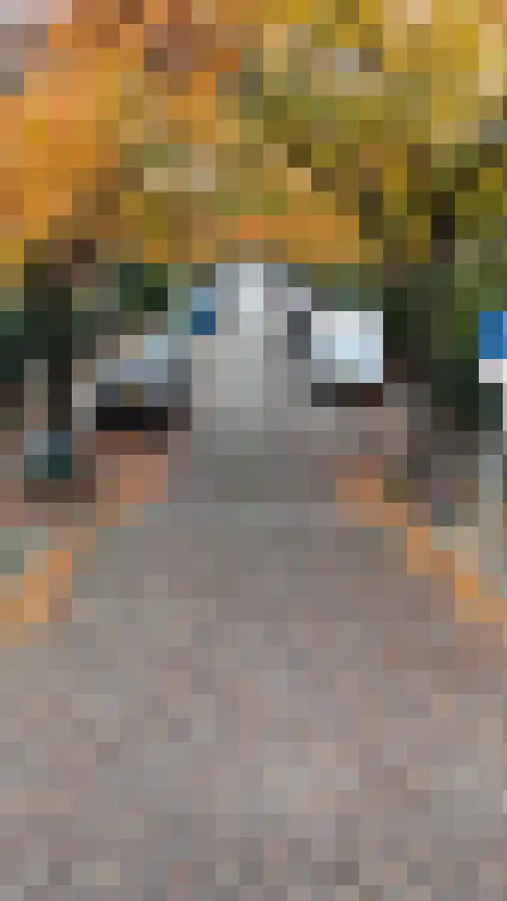 Bijlstraat 48 Bussum thumbnail 33