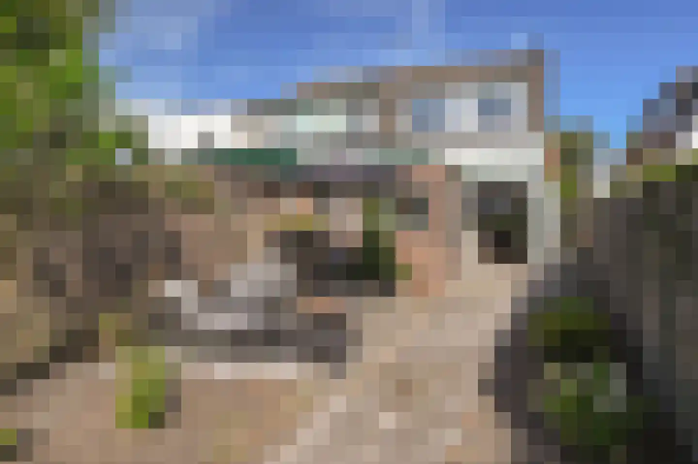 Bijlstraat 74 Bussum thumbnail 25