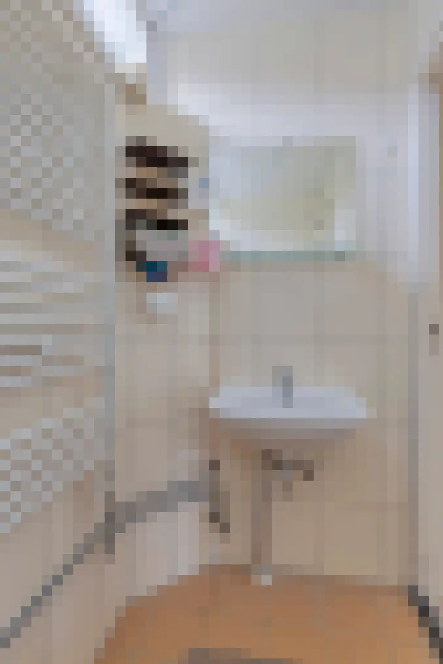 Bijltje 32 Breda thumbnail 17