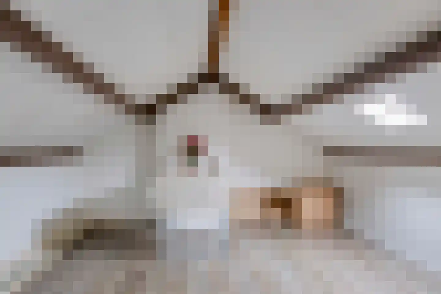 Bijltje 32 Breda thumbnail 22