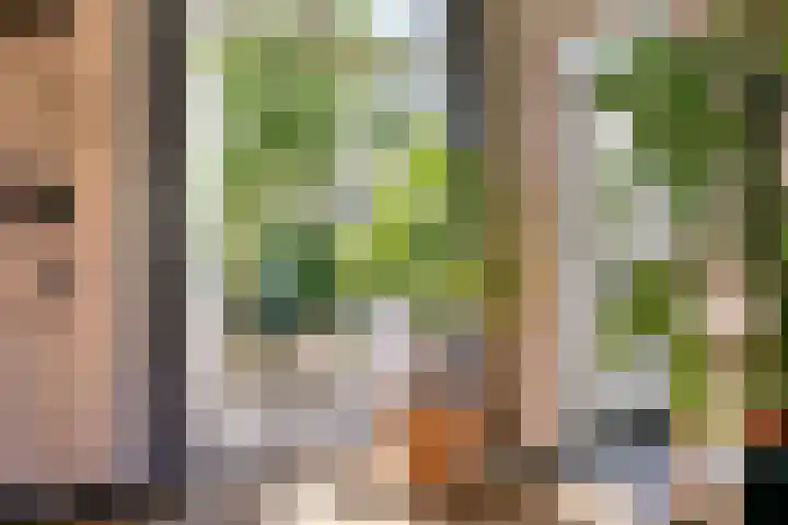 Bijltje 45 Breda thumbnail 14