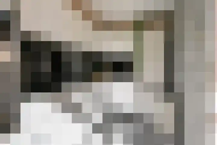 Bijltje 45 Breda thumbnail 16