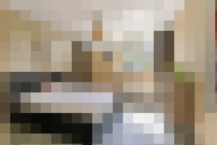 Bijltje 45 Breda thumbnail 18