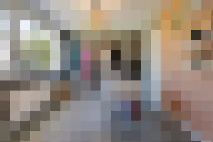 Bijltje 45 Breda thumbnail 23