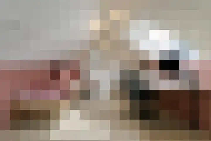 Bijltje 45 Breda thumbnail 25