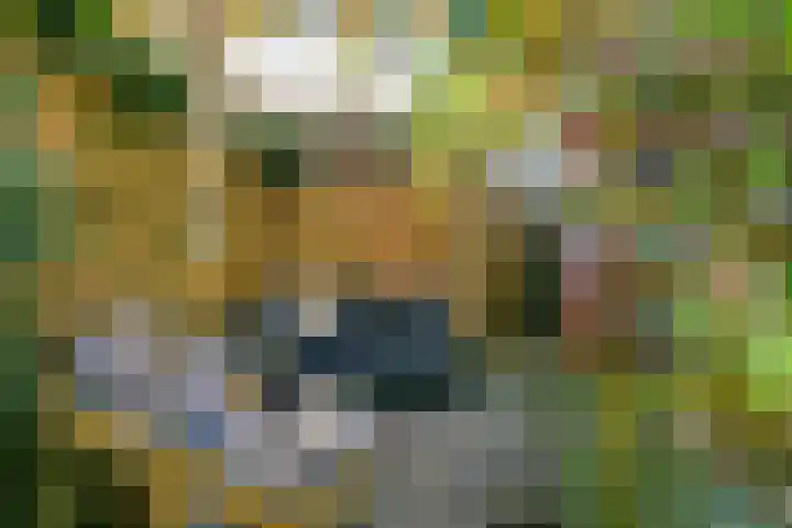 Bijltje 45 Breda thumbnail 29