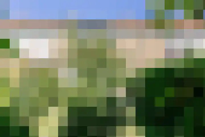 Bijltje 45 Breda thumbnail 30