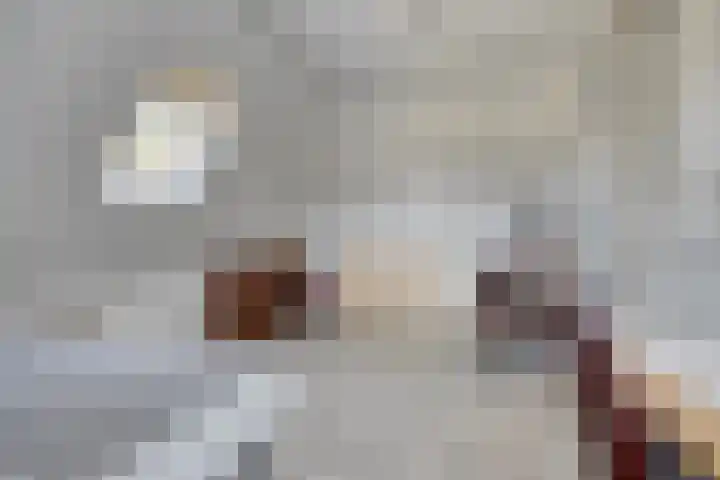 Bijltjesstraat 2 Wernhout thumbnail 33