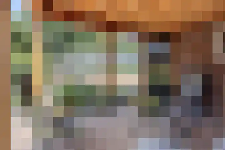 Bijltjesstraat 2 Wernhout thumbnail 37
