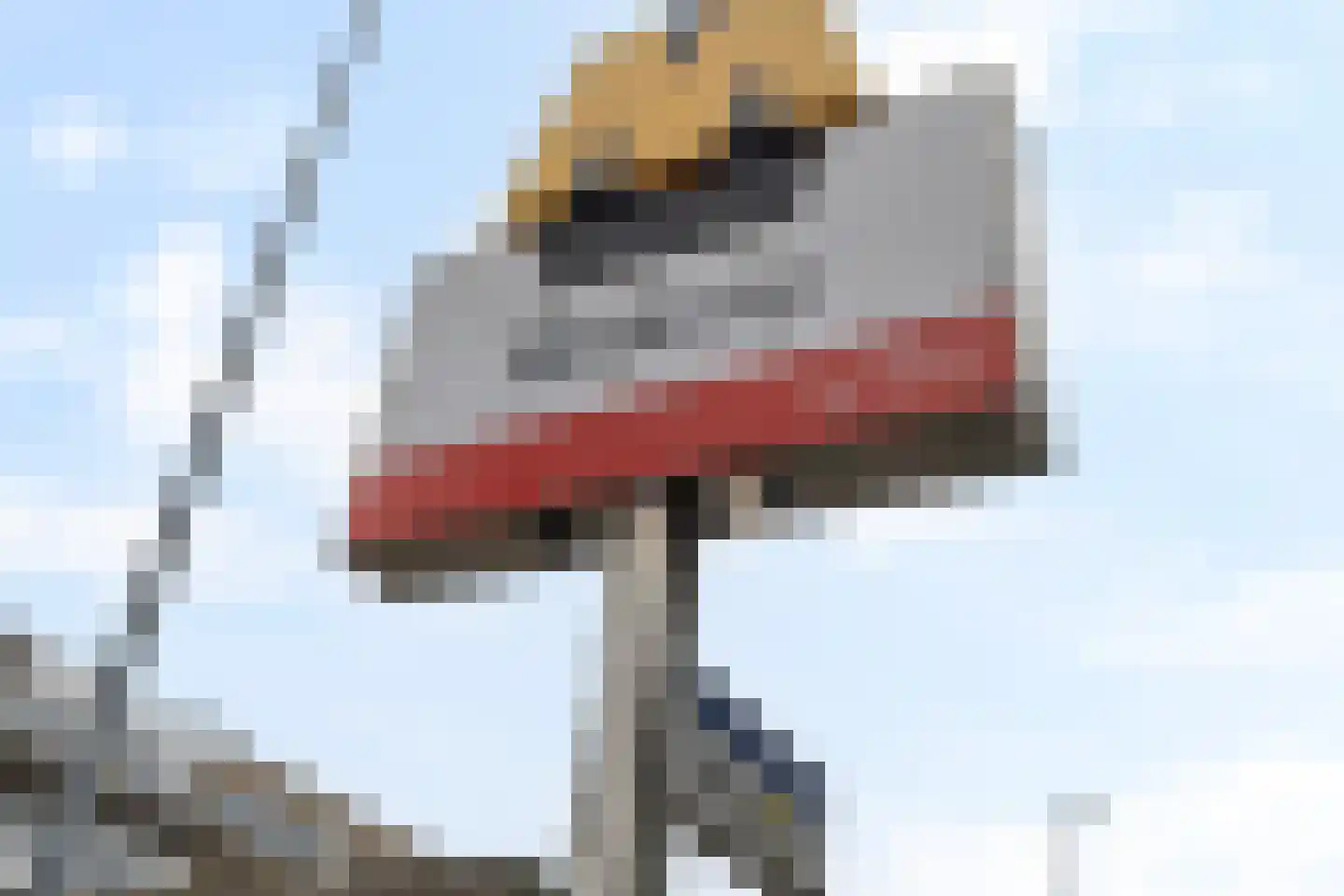 Bijlwerffstraat 10 A 02 Rotterdam thumbnail 39