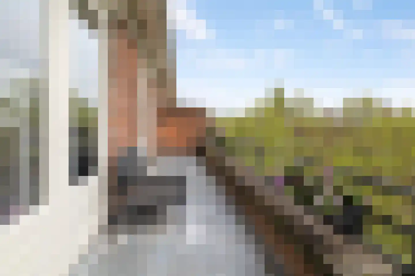 Bijlwerffstraat 11 A Rotterdam thumbnail 39