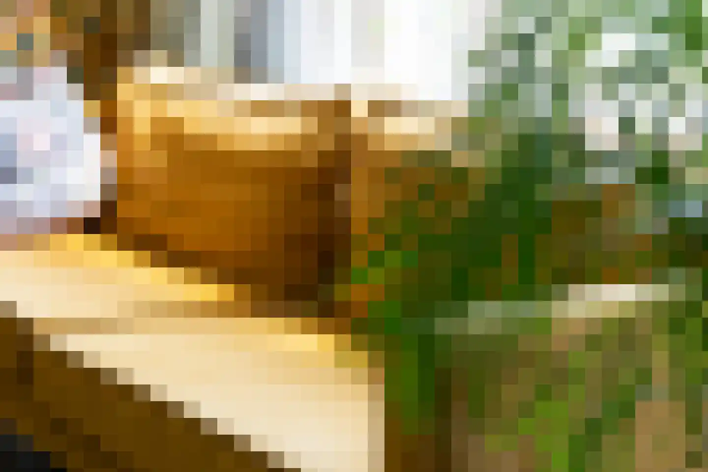 Bijlwerffstraat 11 A Rotterdam thumbnail 7