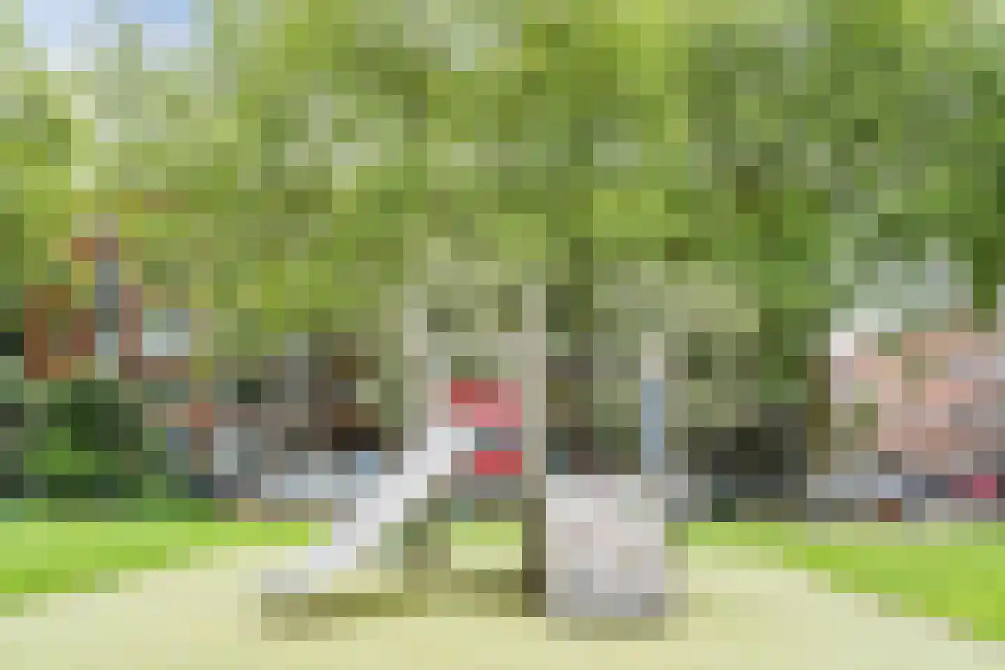 Bijlwerffstraat 25 A Rotterdam thumbnail 34