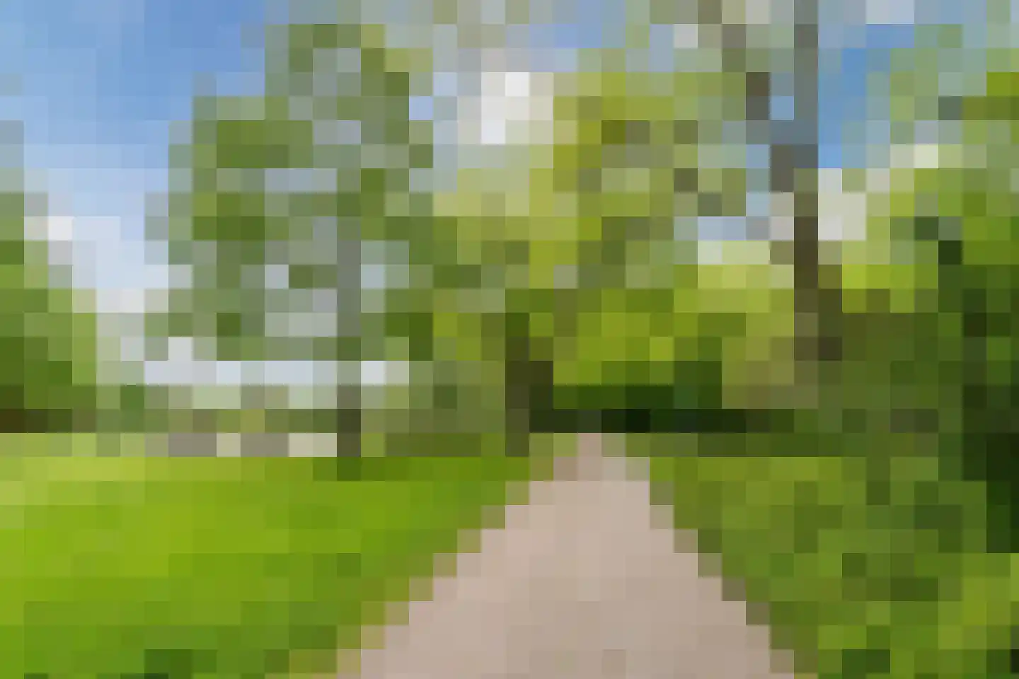 Bijlwerffstraat 25 A Rotterdam thumbnail 40