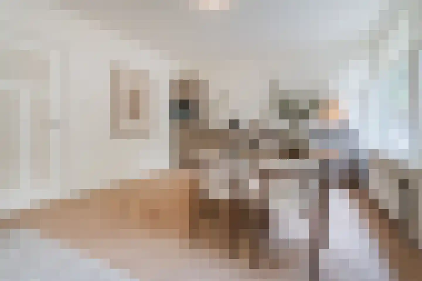 Bijlwerffstraat 25 B 01 Rotterdam thumbnail 10