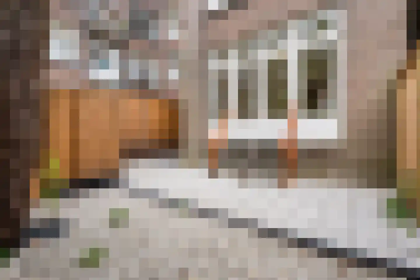 Bijlwerffstraat 25 B 01 Rotterdam thumbnail 28