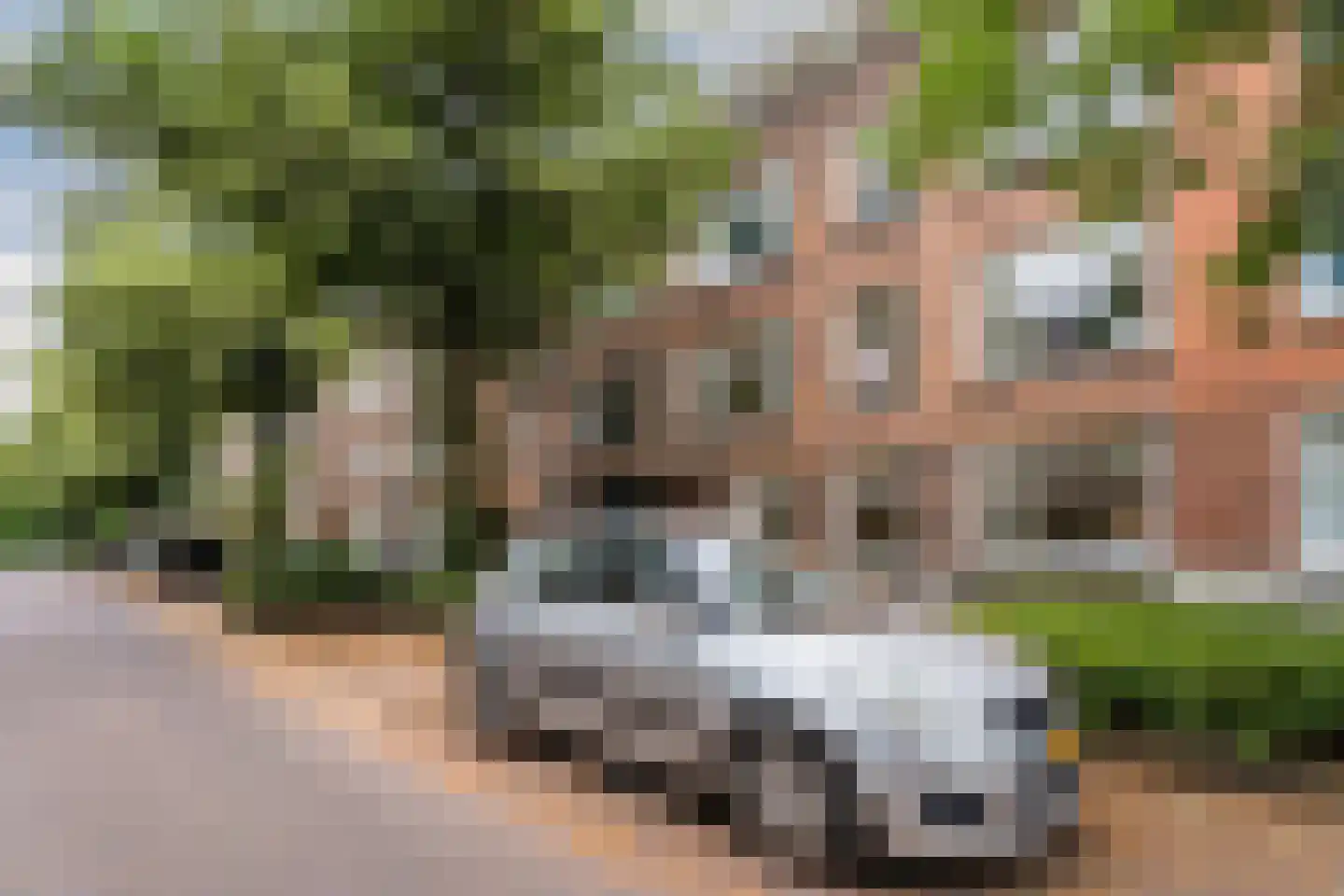 Bijlwerffstraat 25 B 01 Rotterdam thumbnail 31