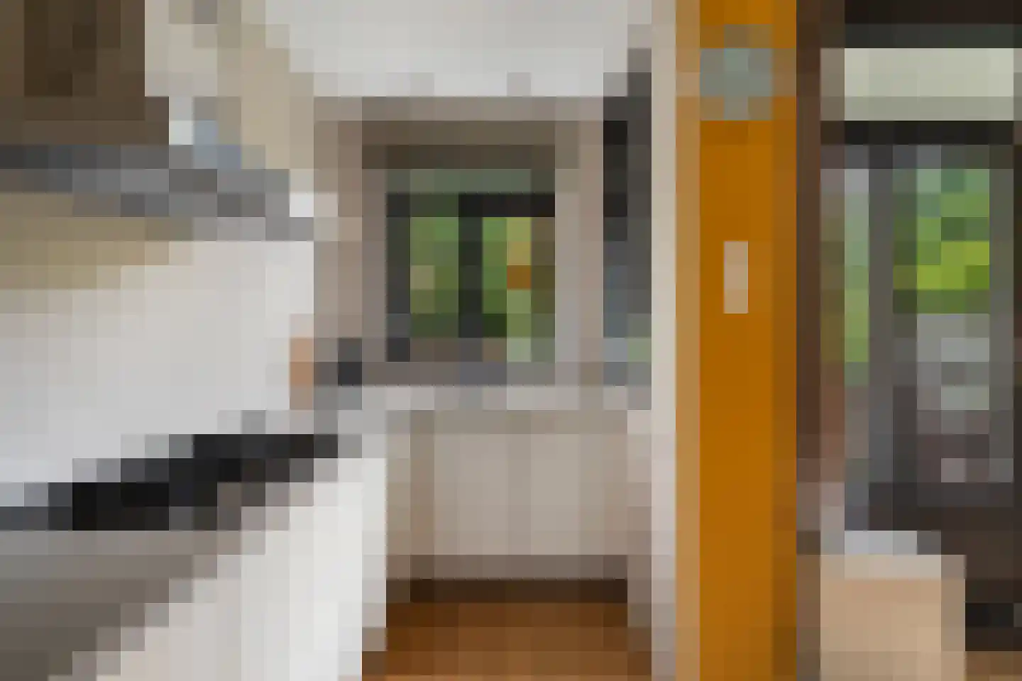 Bijlwerffstraat 30 B Rotterdam thumbnail 13