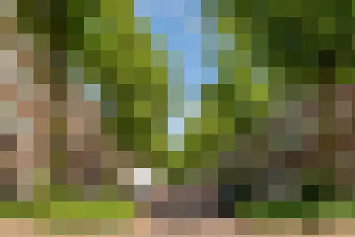 Bijlwerffstraat 31 A 01 Rotterdam thumbnail 4
