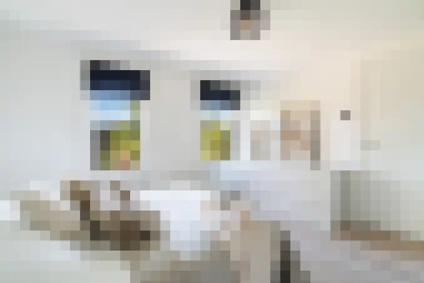 Bijlwerffstraat 33 A Rotterdam thumbnail 34