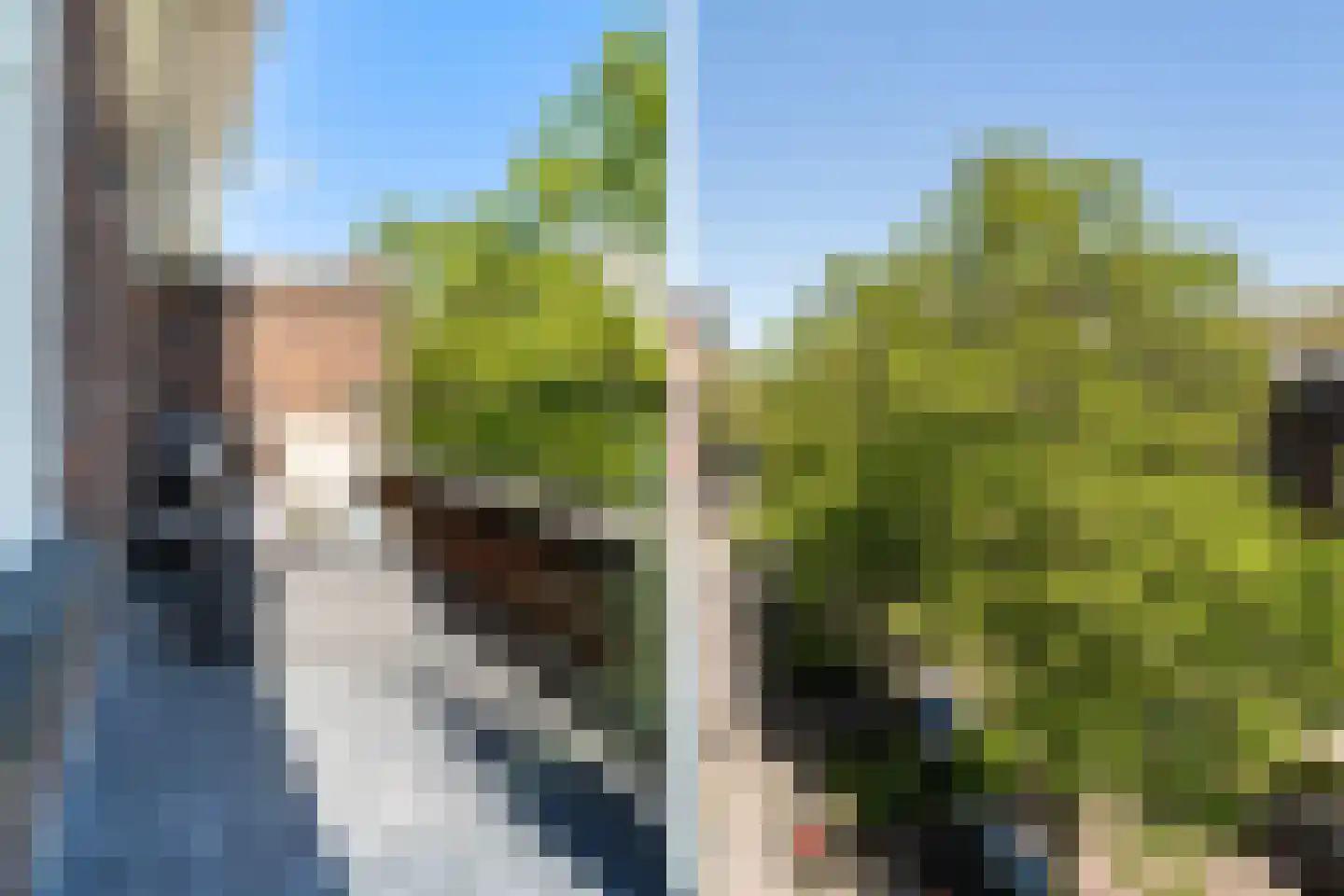 Bijlwerffstraat 33 A Rotterdam thumbnail 44