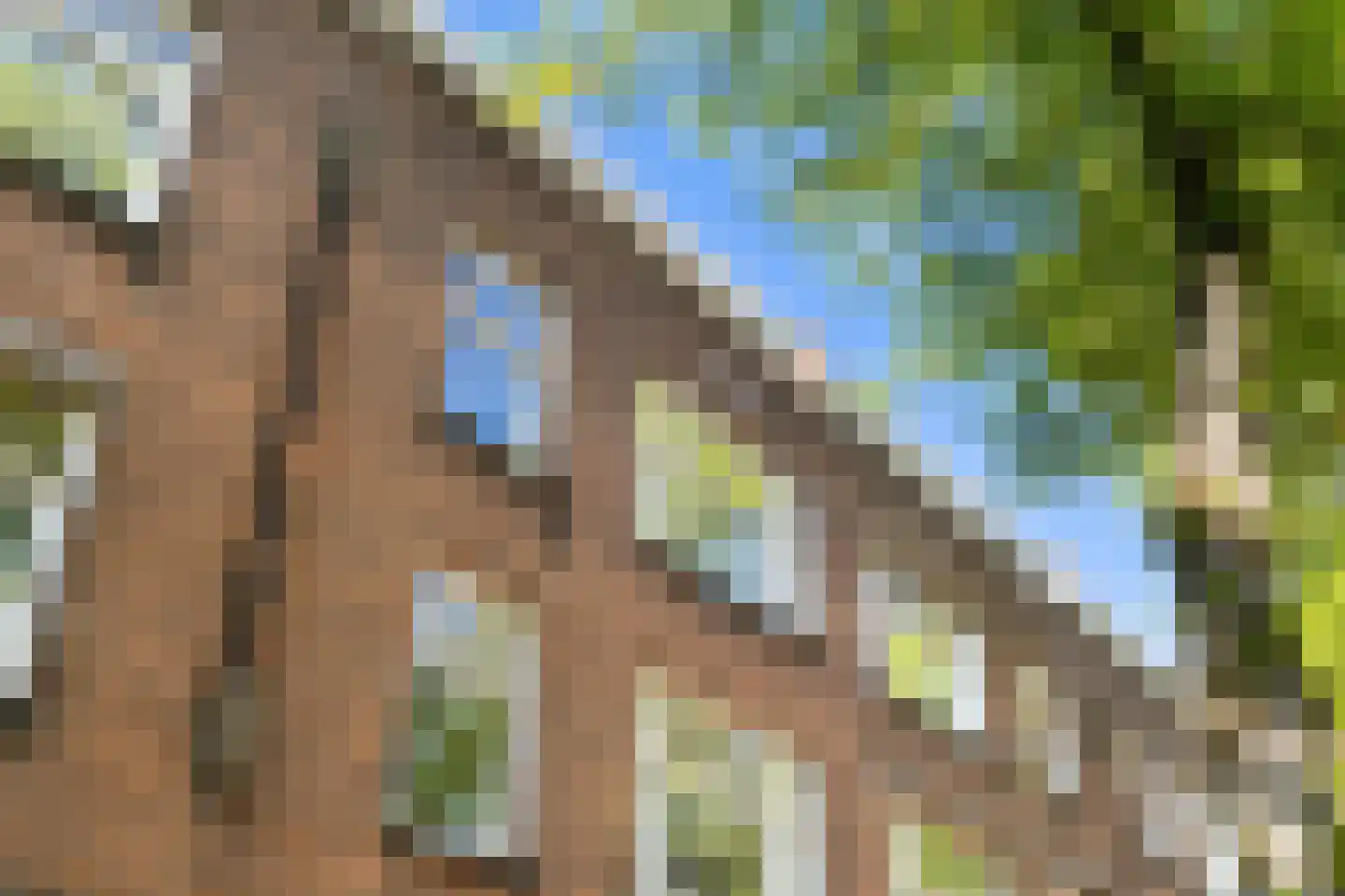Bijlwerffstraat 33 A Rotterdam thumbnail 49