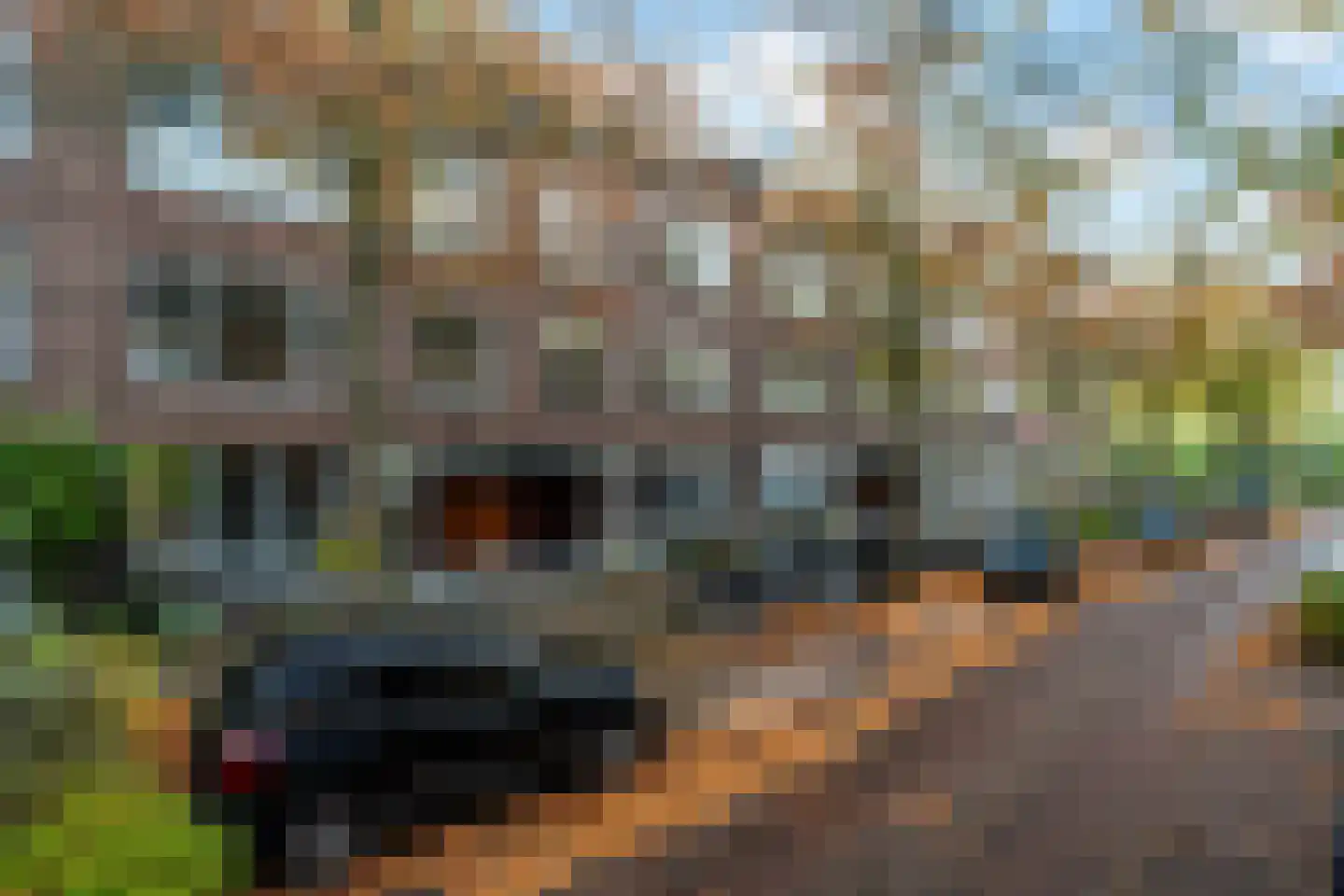Bijlwerffstraat 38 A Rotterdam thumbnail 31